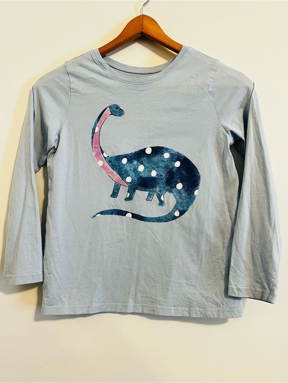 Tea Collection Dinosaur Graphic Long Sleeve Shirt Youth Size 12 Blue Cotton